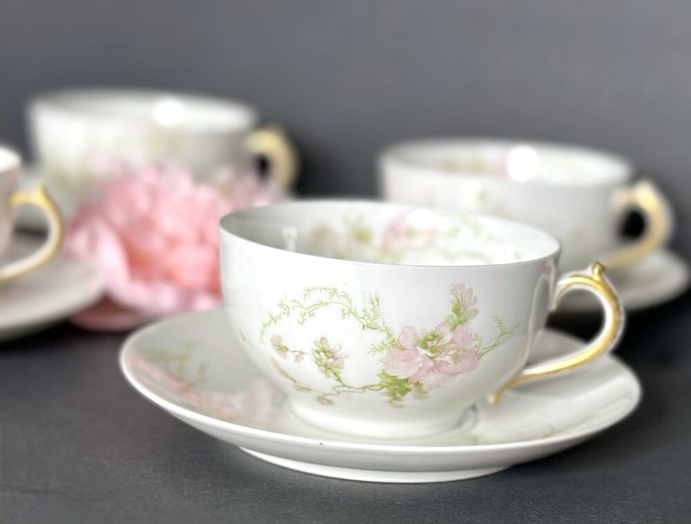 Charles Field Haviland Limoges France Pink Poppies Schleiger 377 Teacup & Saucer